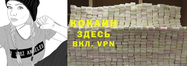 соль ск Арсеньев