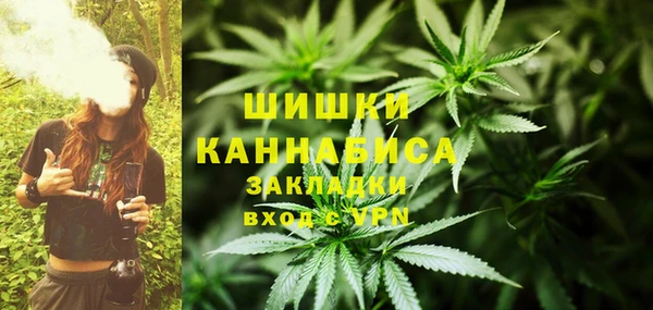 соль ск Арсеньев