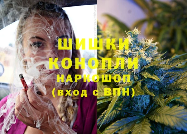 соль ск Арсеньев